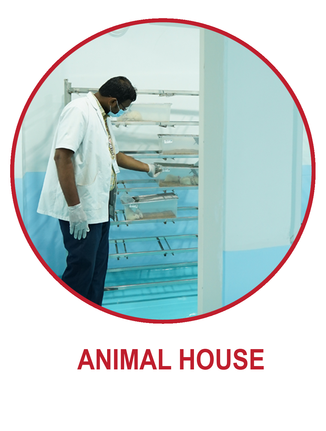 Animal House