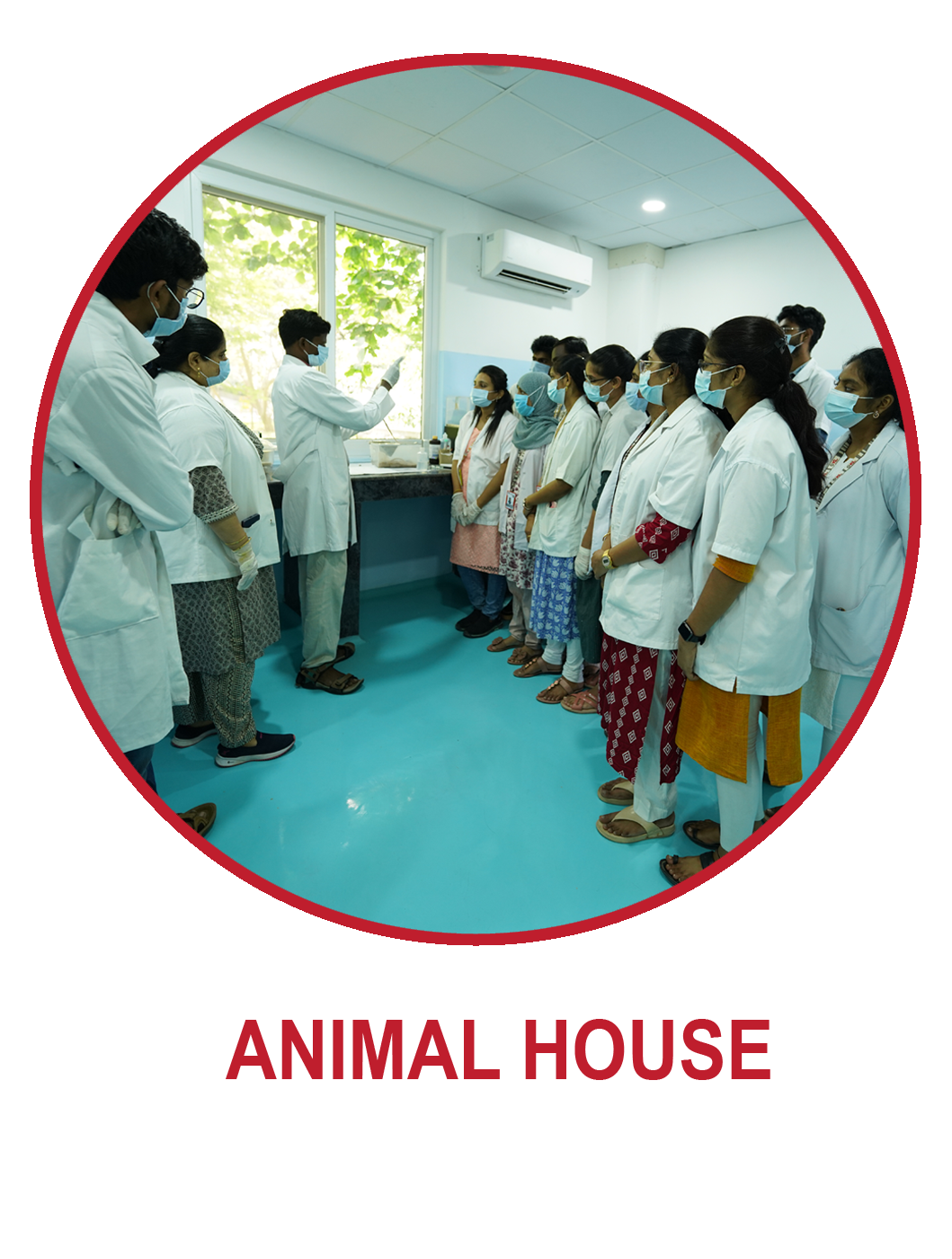 Animal House