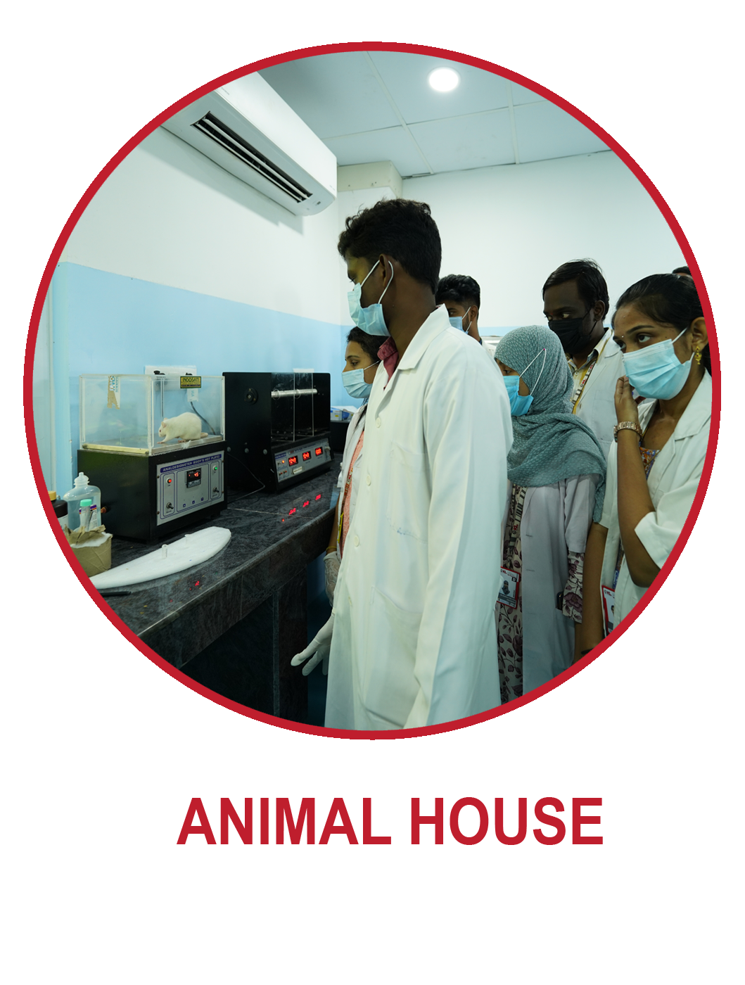 Animal House