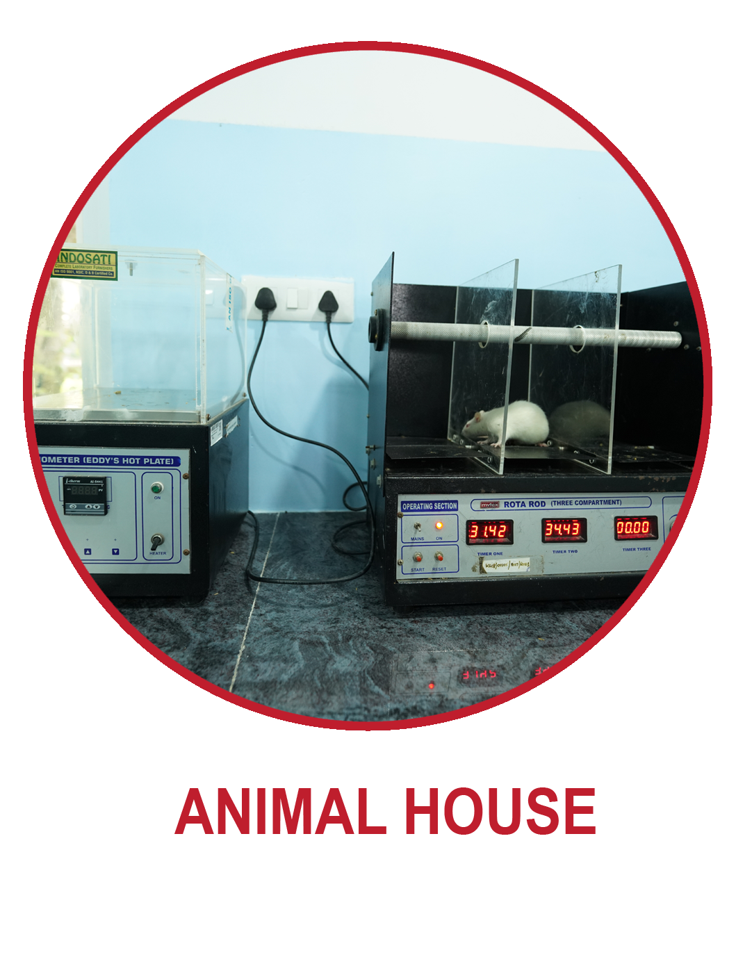 Animal House