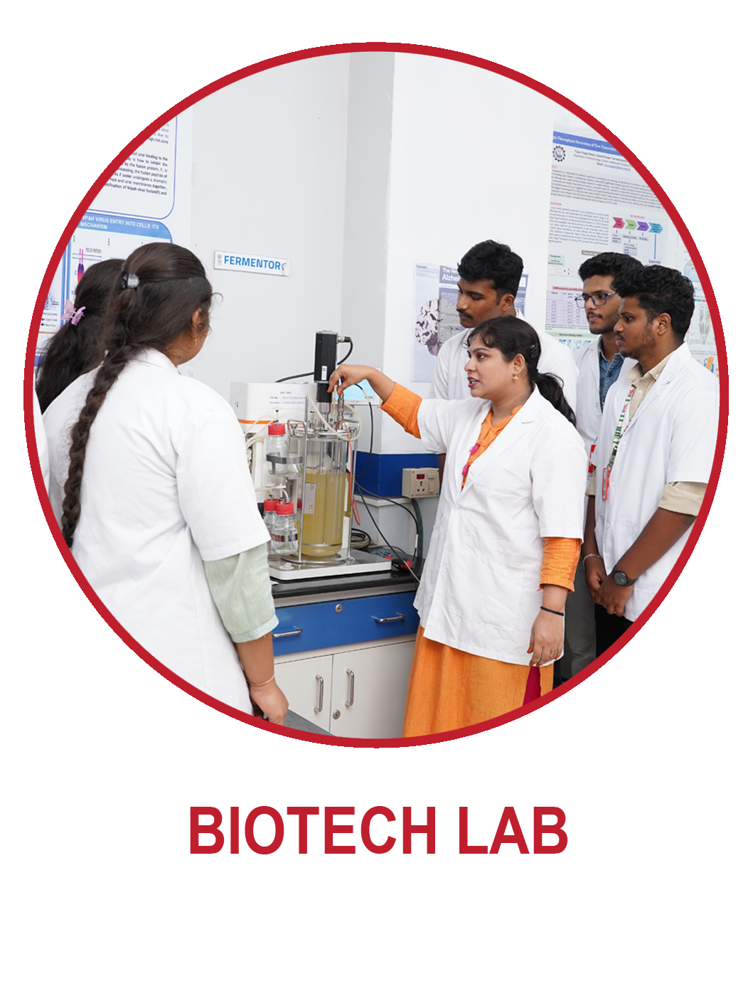 lab