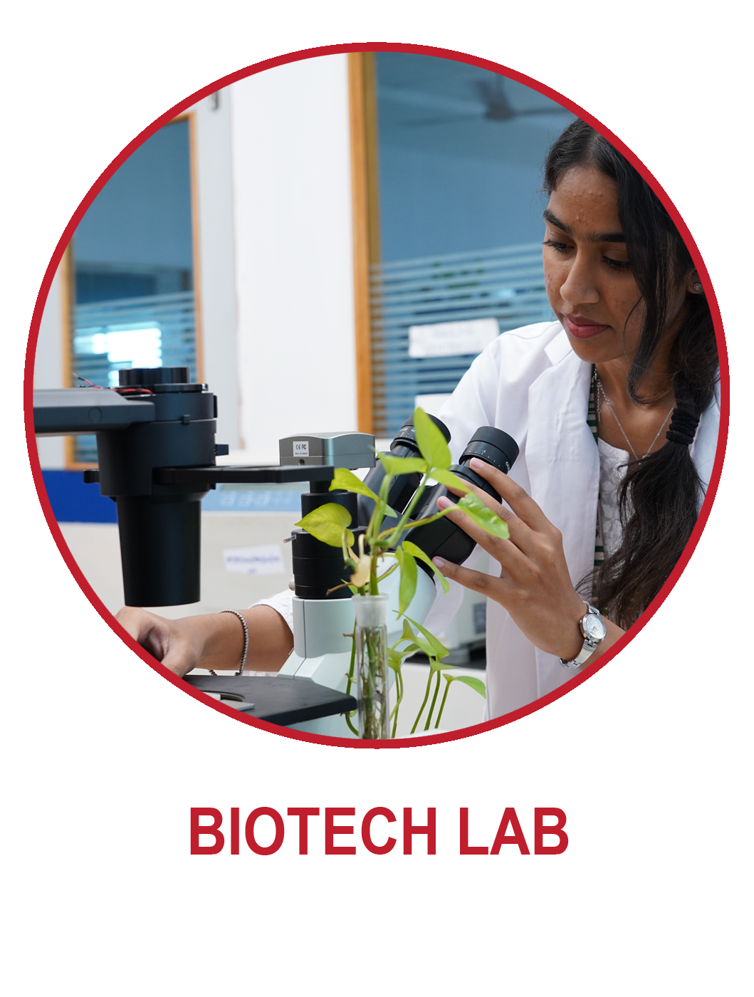 lab