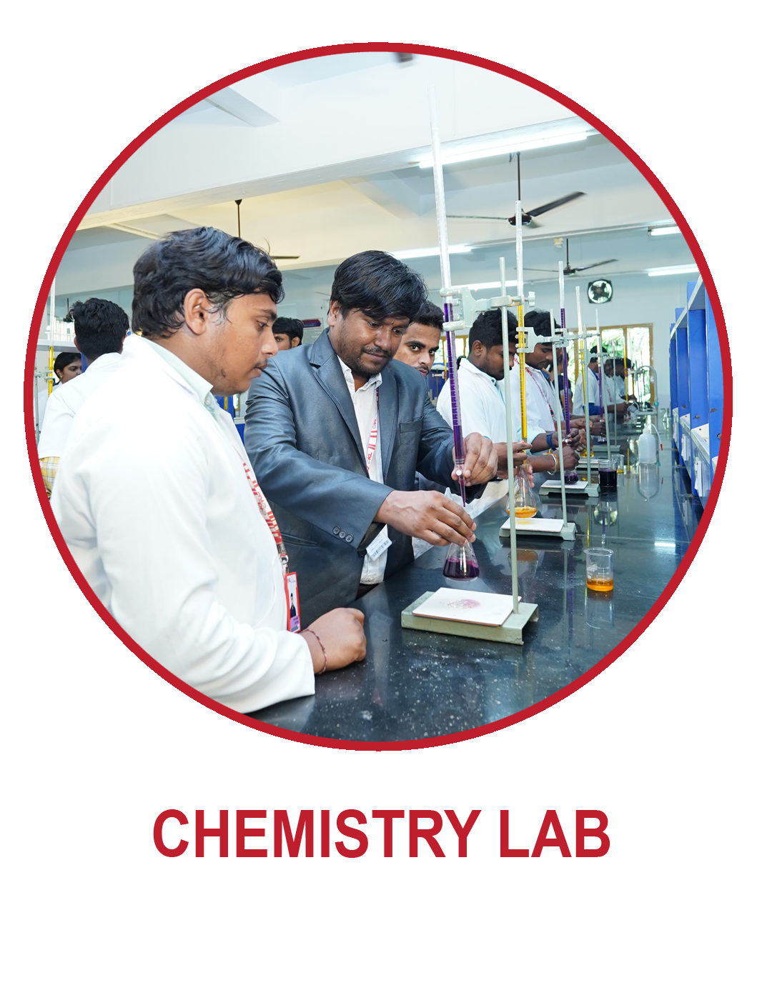lab
