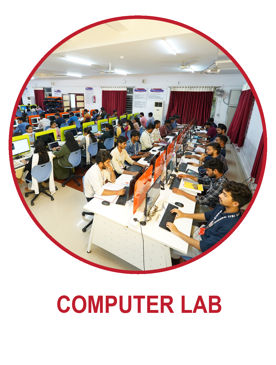 lab