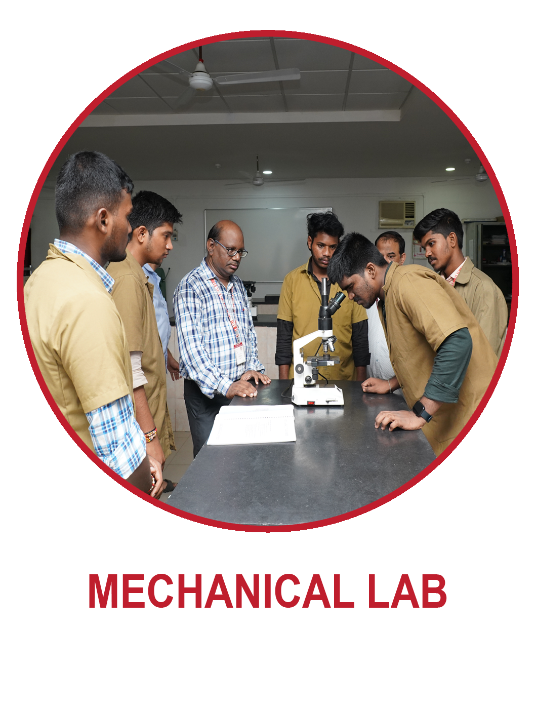 lab