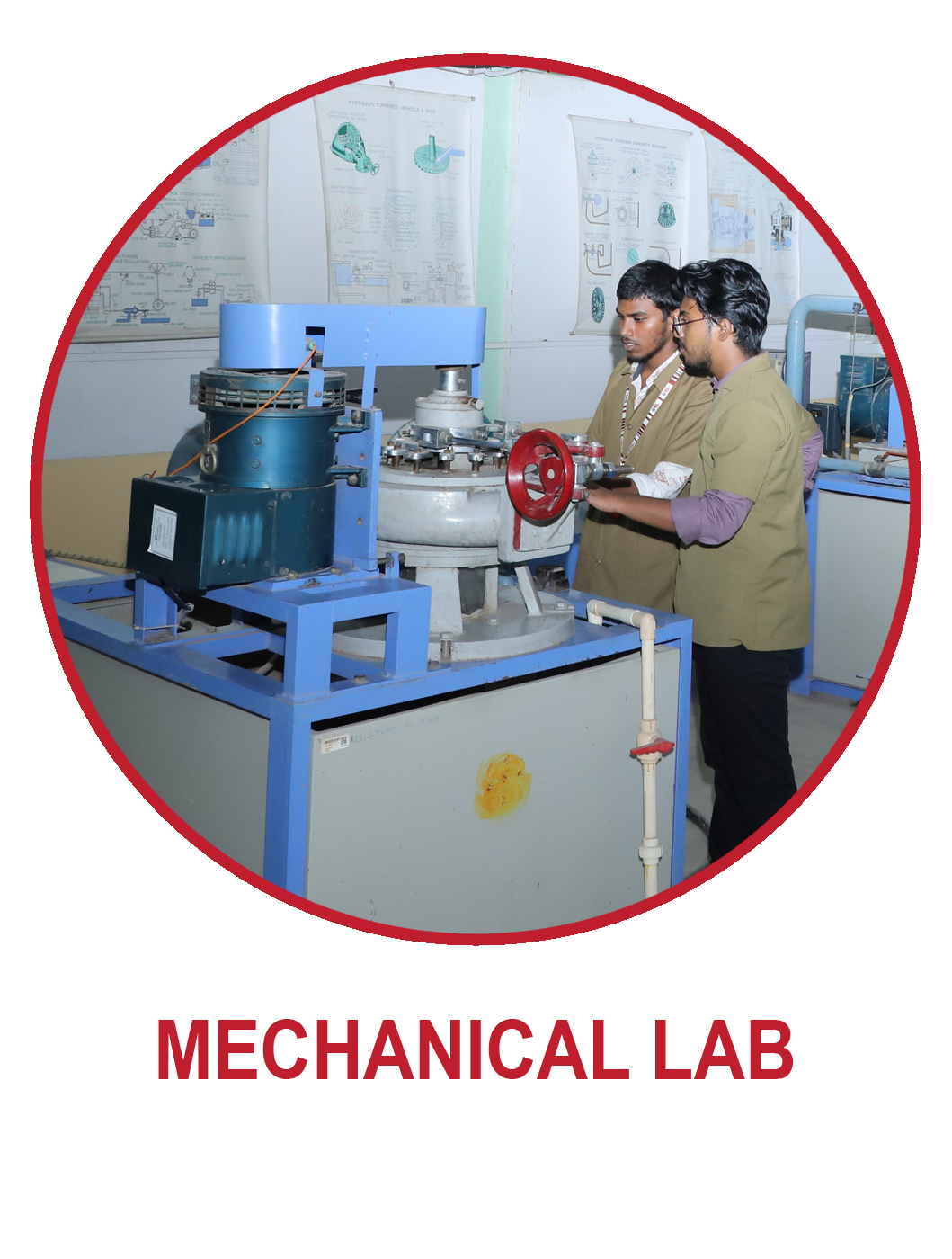 lab