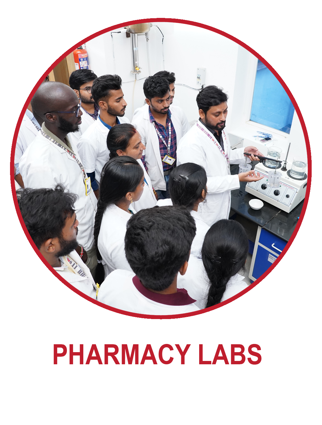 lab